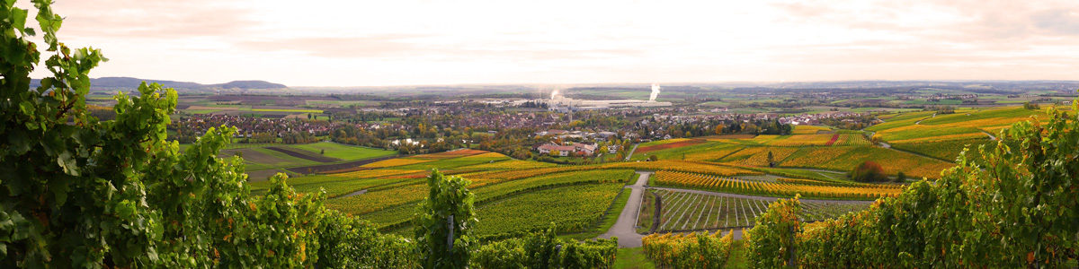 Herbstliche Weinberge rund um Iphofen laden zum Wandern und Spazieren ein