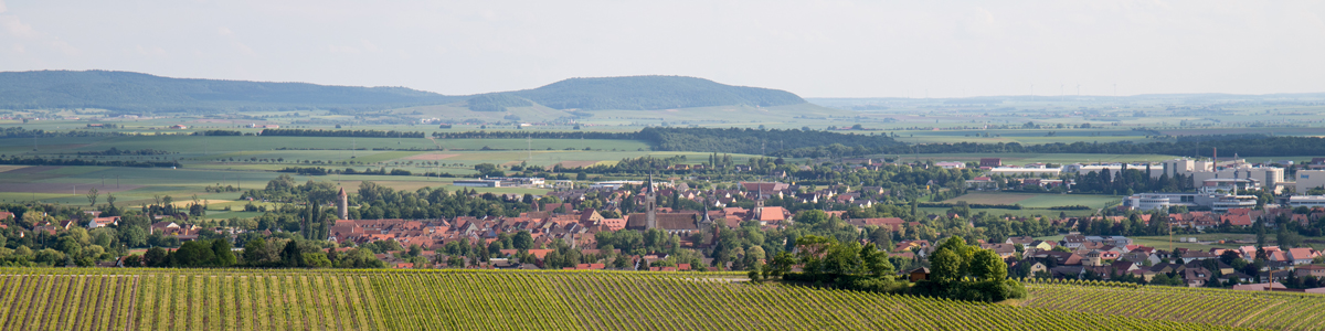Blick über die Weinberge "Julius-Echter-Berg"  & "Kronsberg" auf die Stadt Iphofen